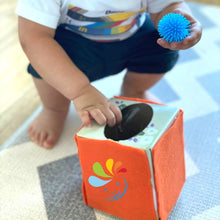 Load image into Gallery viewer, KIT FOR INFANT: 7-9 MONTHS