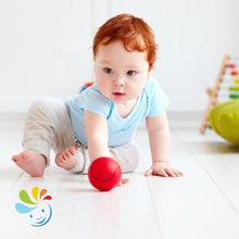 Load image into Gallery viewer, KIT FOR TODDLERS: 10-12 MONTHS