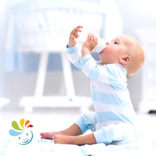 Load image into Gallery viewer, KIT FOR INFANT: 7-9 MONTHS